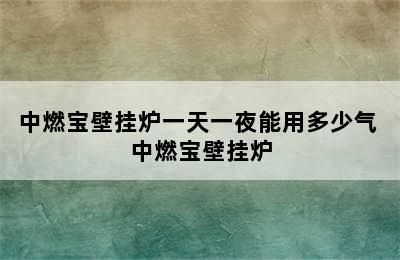 中燃宝壁挂炉一天一夜能用多少气 中燃宝壁挂炉